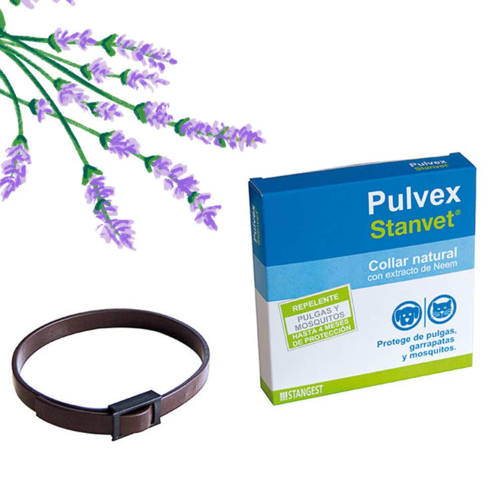 Stanvet Pulvex Collar Repelente